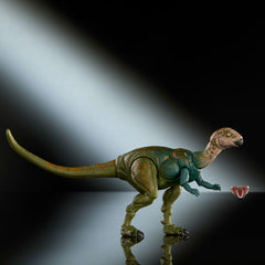 Jurassic World Hammond Collection Dryosaurus Dinosaur Figure, Deluxe Design And 17 Articulations