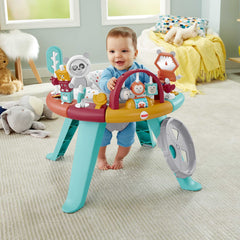 Fisher-Price Centre D’Activités 3 en 1