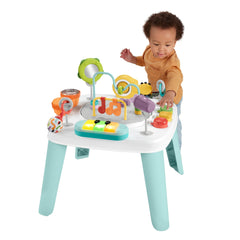 Fisher-Price Centre D’Activités Mes Premiers Succès3 en 1, Table