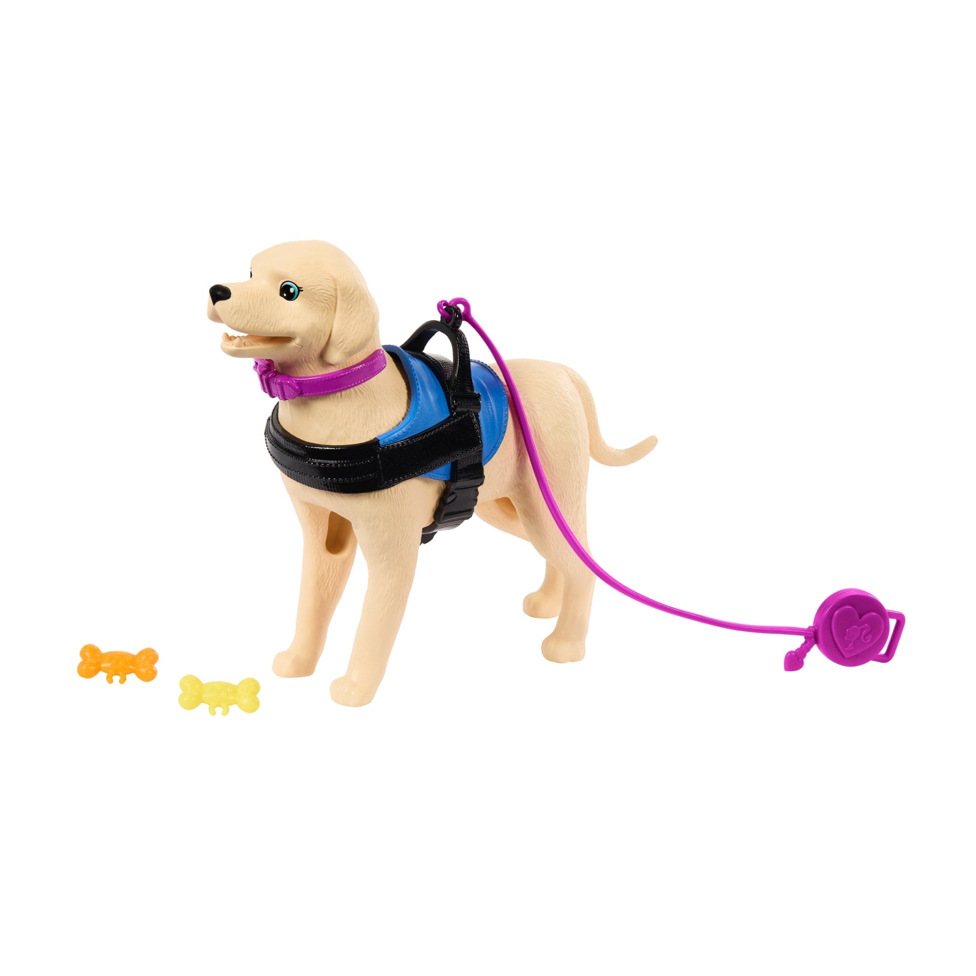 Coffret de Poupée Barbie et Chien D’Assistance Avec Poupée Aux Cheveux Bruns