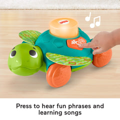 Fisher-Price Linkimals Sit-To-Crawl Sea Turtle